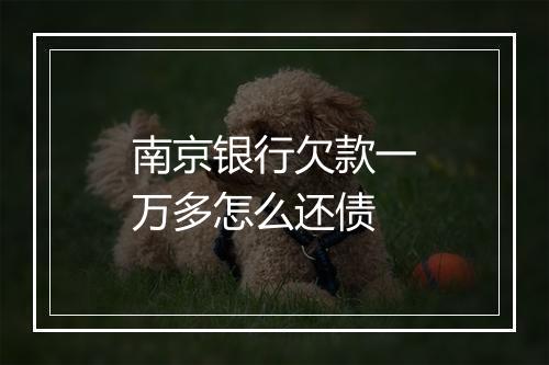 南京银行欠款一万多怎么还债