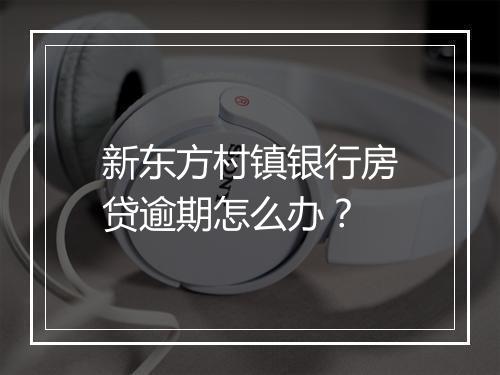 新东方村镇银行房贷逾期怎么办？