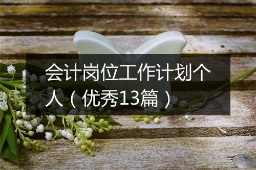 会计岗位工作计划个人（优秀13篇）