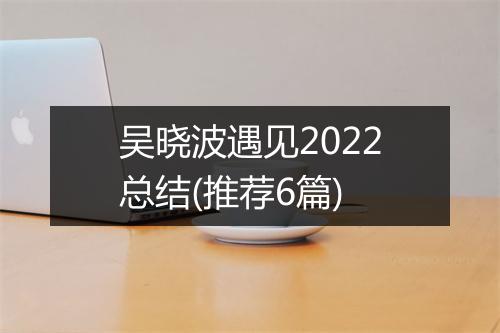 吴晓波遇见2022总结(推荐6篇)