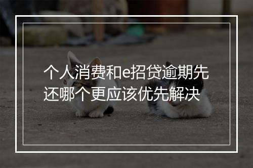 个人消费和e招贷逾期先还哪个更应该优先解决