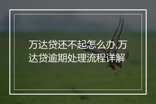 万达贷还不起怎么办,万达贷逾期处理流程详解