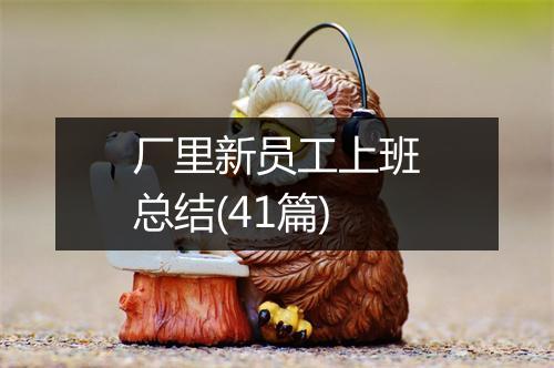 厂里新员工上班总结(41篇)