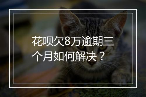 花呗欠8万逾期三个月如何解决？