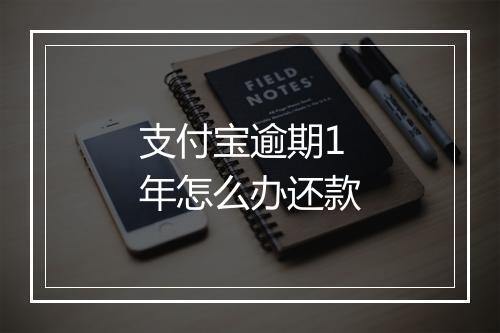 支付宝逾期1年怎么办还款