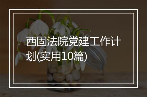 西固法院党建工作计划(实用10篇)