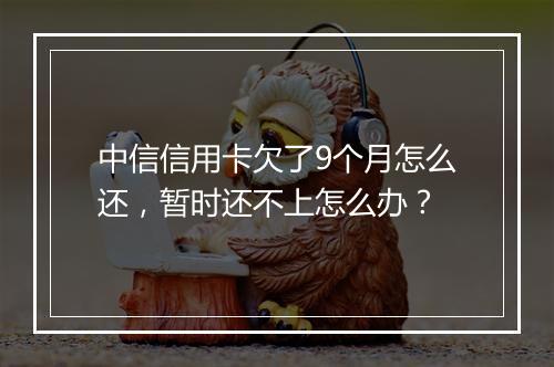 中信信用卡欠了9个月怎么还，暂时还不上怎么办？