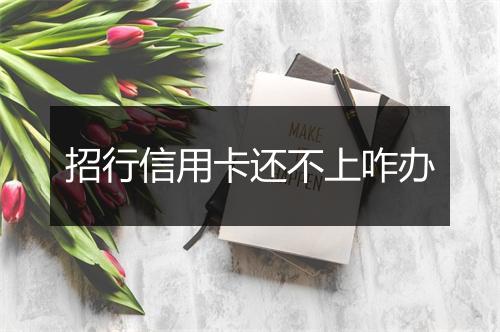 招行信用卡还不上咋办