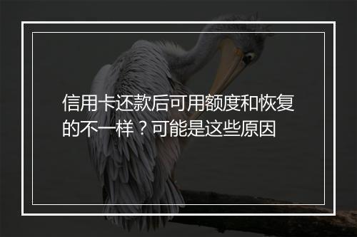 信用卡还款后可用额度和恢复的不一样？可能是这些原因