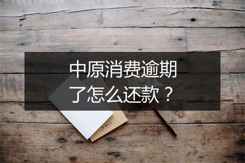 中原消费逾期了怎么还款？