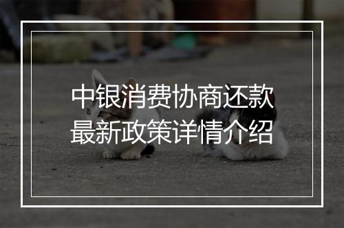中银消费协商还款最新政策详情介绍