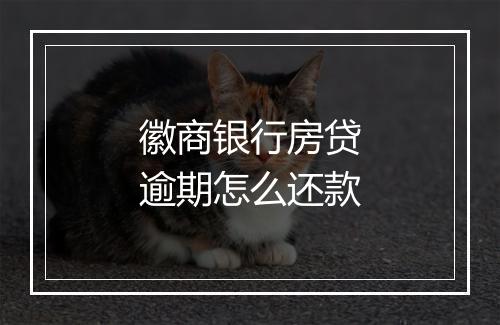 徽商银行房贷逾期怎么还款
