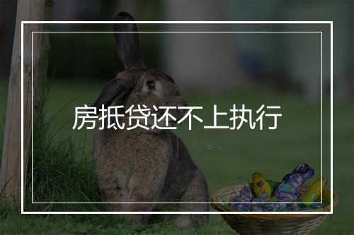 房抵贷还不上执行