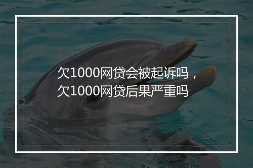 欠1000网贷会被起诉吗，欠1000网贷后果严重吗