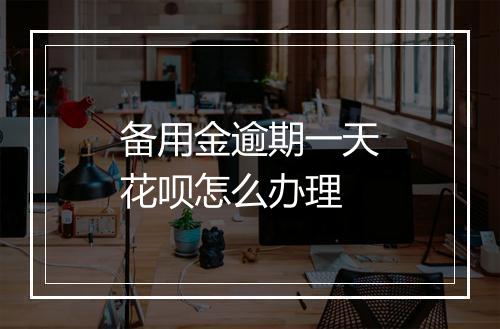 备用金逾期一天花呗怎么办理
