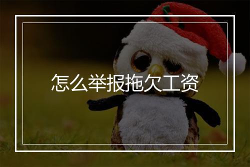 怎么举报拖欠工资