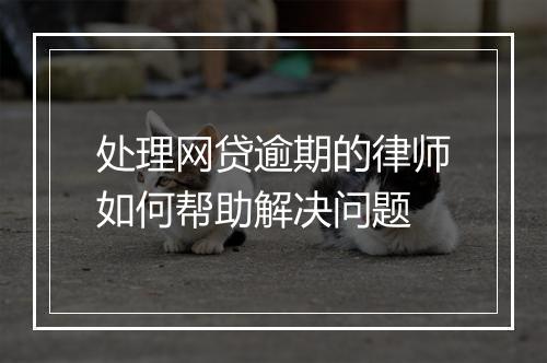 处理网贷逾期的律师如何帮助解决问题