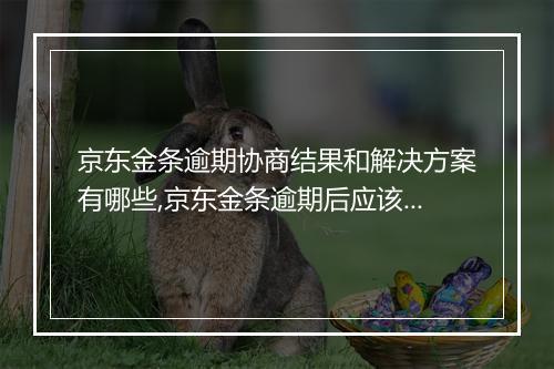 京东金条逾期协商结果和解决方案有哪些,京东金条逾期后应该如何处理