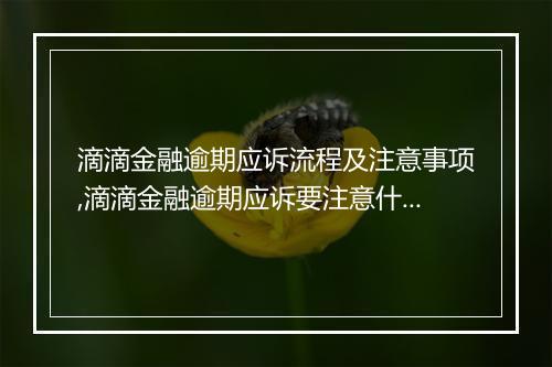 滴滴金融逾期应诉流程及注意事项,滴滴金融逾期应诉要注意什么