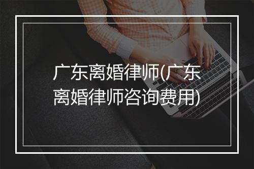 广东离婚律师(广东离婚律师咨询费用)