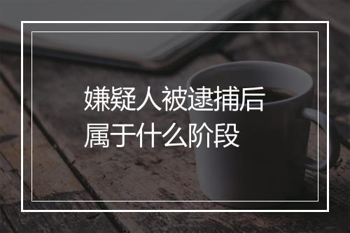 嫌疑人被逮捕后属于什么阶段