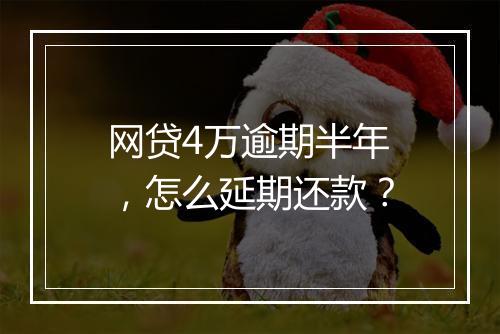 网贷4万逾期半年，怎么延期还款？