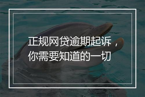 正规网贷逾期起诉，你需要知道的一切