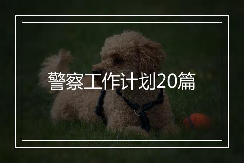 警察工作计划20篇