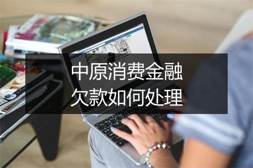 中原消费金融欠款如何处理