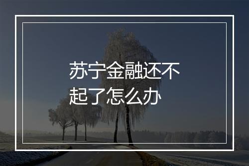 苏宁金融还不起了怎么办