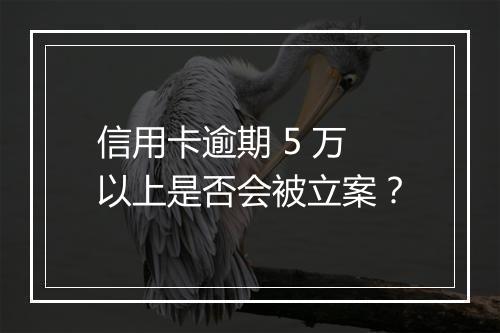 信用卡逾期 5 万以上是否会被立案？