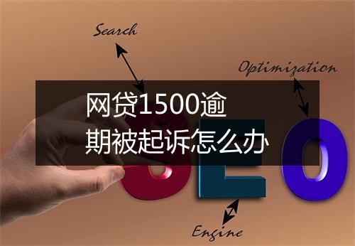 网贷1500逾期被起诉怎么办