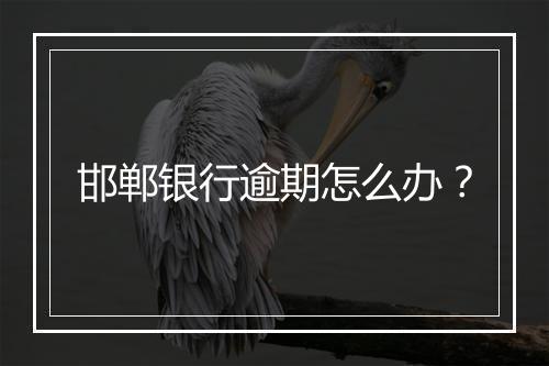 邯郸银行逾期怎么办？