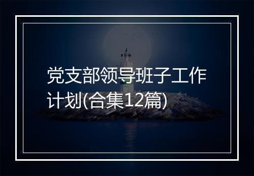 党支部领导班子工作计划(合集12篇)