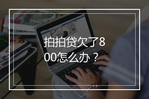 拍拍贷欠了800怎么办？