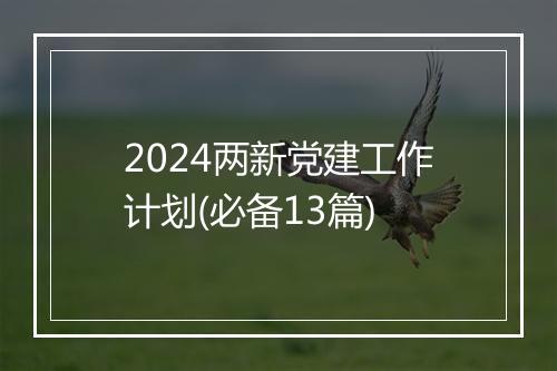 2024两新党建工作计划(必备13篇)