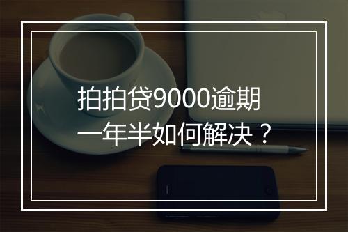 拍拍贷9000逾期一年半如何解决？