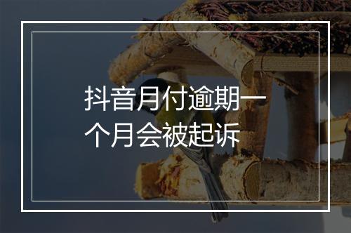抖音月付逾期一个月会被起诉