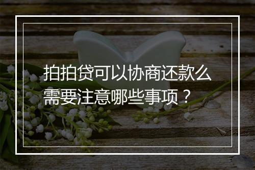 拍拍贷可以协商还款么需要注意哪些事项？