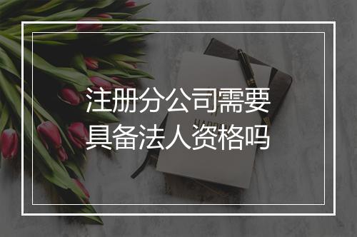 注册分公司需要具备法人资格吗