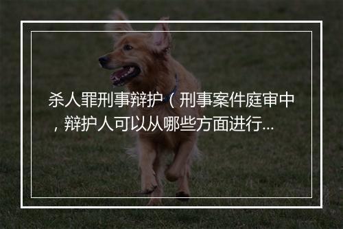 杀人罪刑事辩护（刑事案件庭审中，辩护人可以从哪些方面进行辩护？）