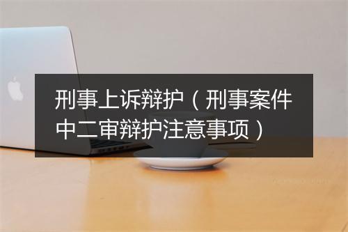 刑事上诉辩护（刑事案件中二审辩护注意事项）