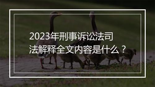 2023年刑事诉讼法司法解释全文内容是什么？