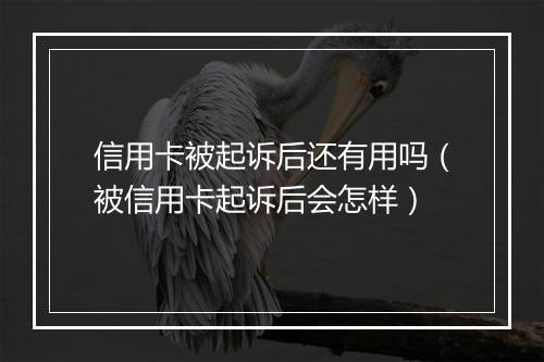 信用卡被起诉后还有用吗（被信用卡起诉后会怎样）