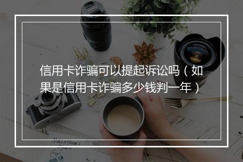 信用卡诈骗可以提起诉讼吗（如果是信用卡诈骗多少钱判一年）