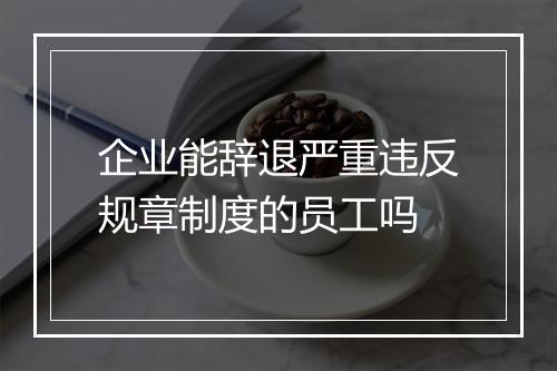 企业能辞退严重违反规章制度的员工吗