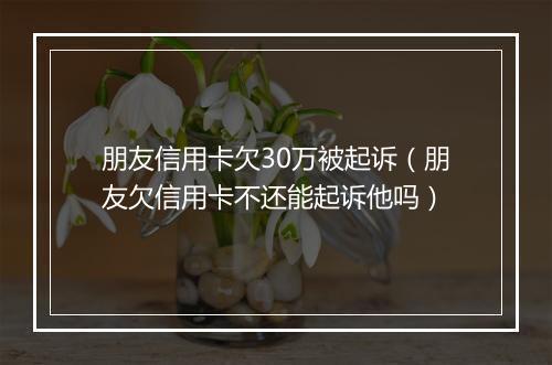 朋友信用卡欠30万被起诉（朋友欠信用卡不还能起诉他吗）