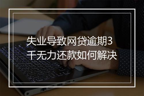 失业导致网贷逾期3千无力还款如何解决