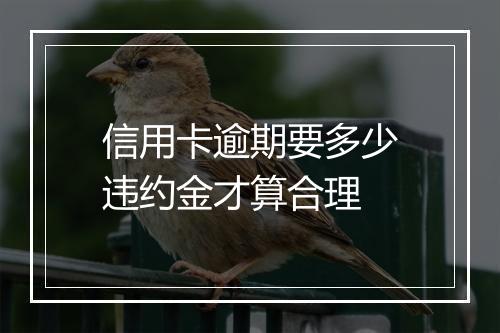 信用卡逾期要多少违约金才算合理