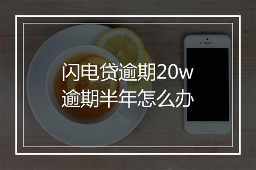 闪电贷逾期20w逾期半年怎么办